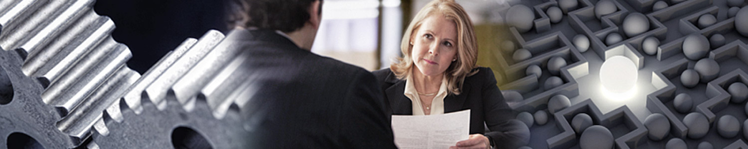 Interim Management Interim Management